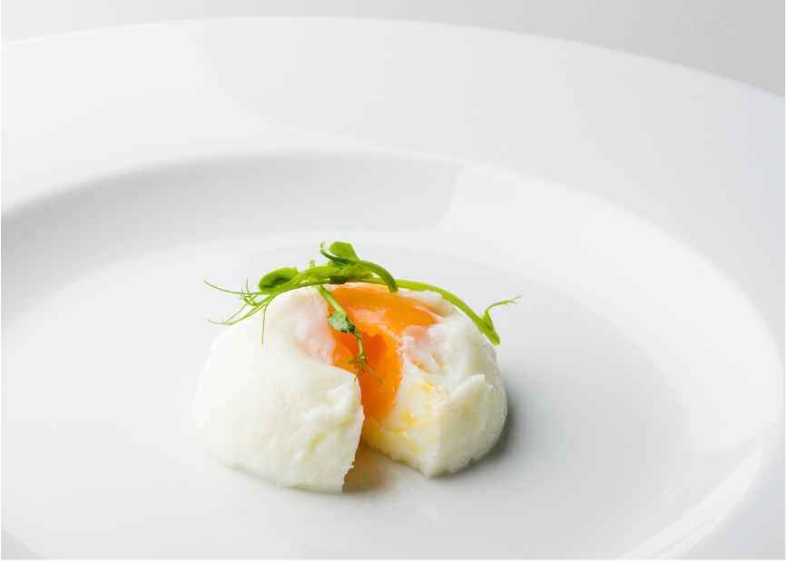 A single poached egg with grean garnish on a white plate.