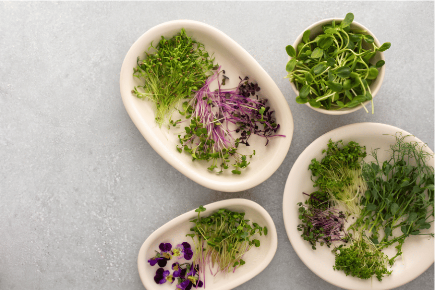 A picture of microgreens as a healthy addition to meals.