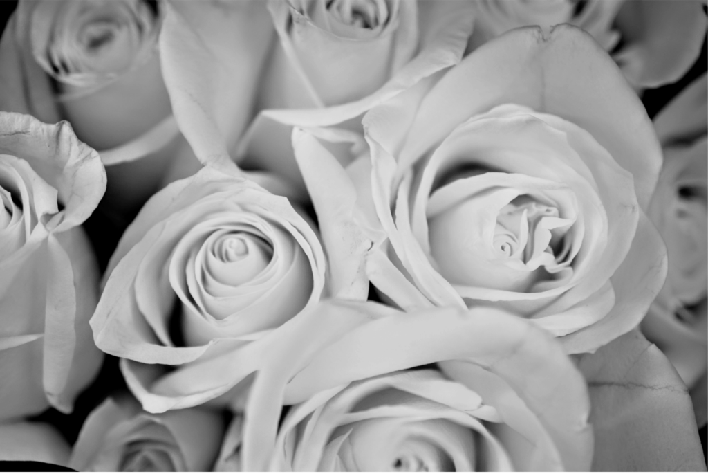 Flowers have a frequency of wealth.