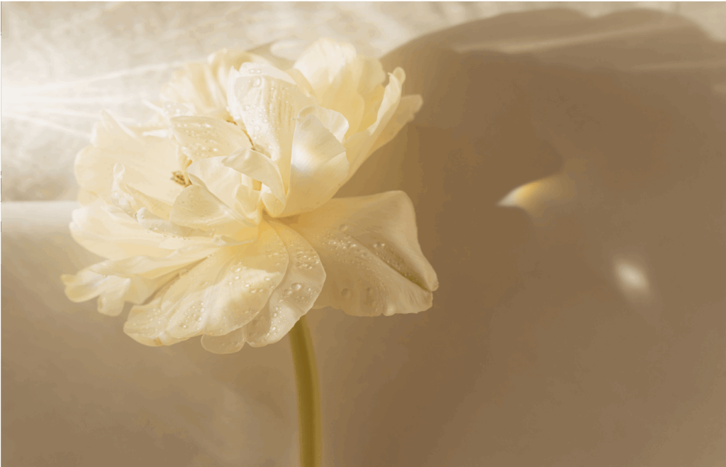 soul nourishing beauty in flowers